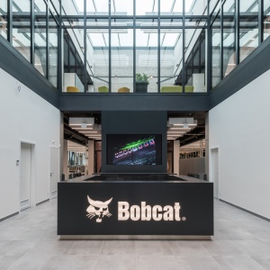 Bobcat01